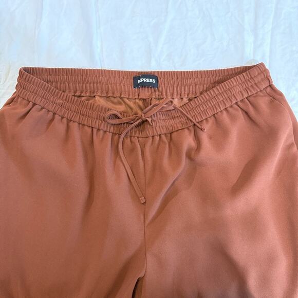 Express Brown Ankle Mid Rise Cropped Jogger Pants sz L - Picture 3 of 12